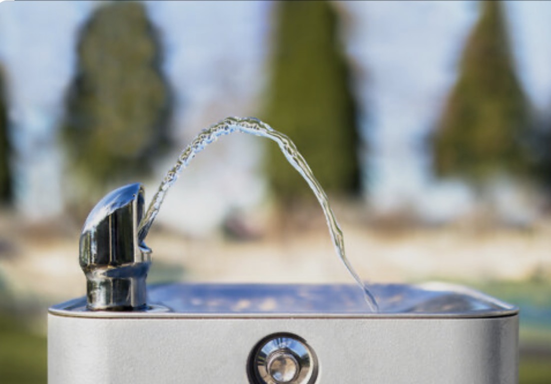 Picture provided by Adobe Stock