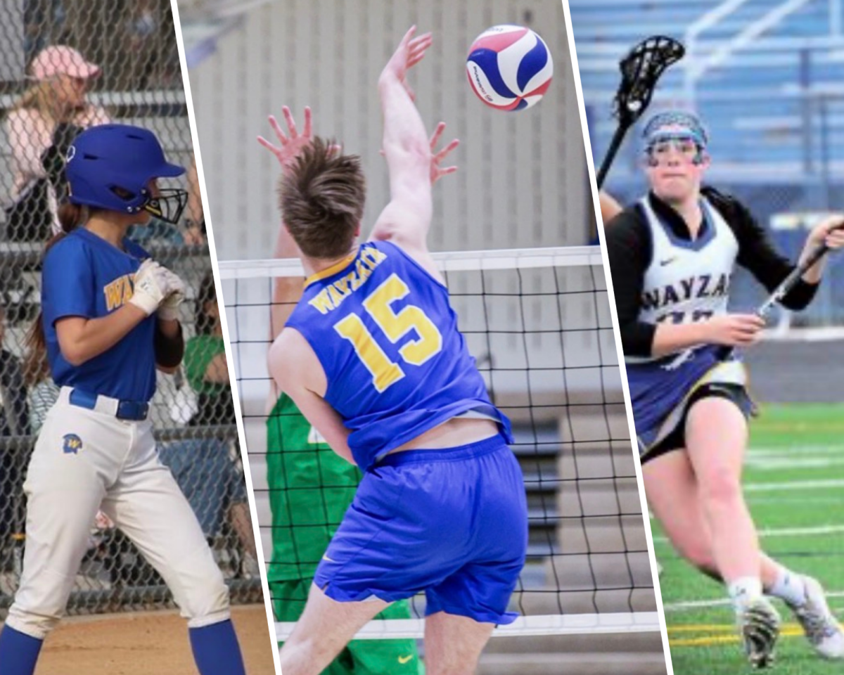 Sources: @softballwayzata, @wayzataboysvolleyball, and Home Town Source
